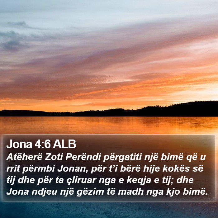 Jona 4:6 ALB Bible Study