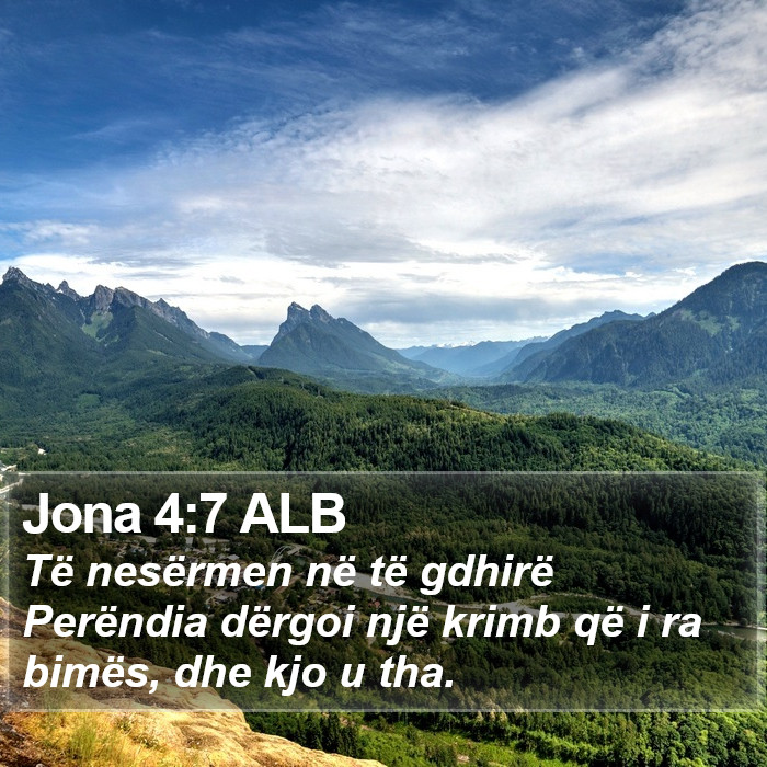 Jona 4:7 ALB Bible Study