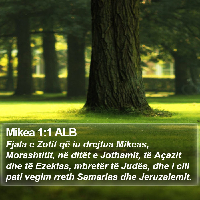 Mikea 1:1 ALB Bible Study