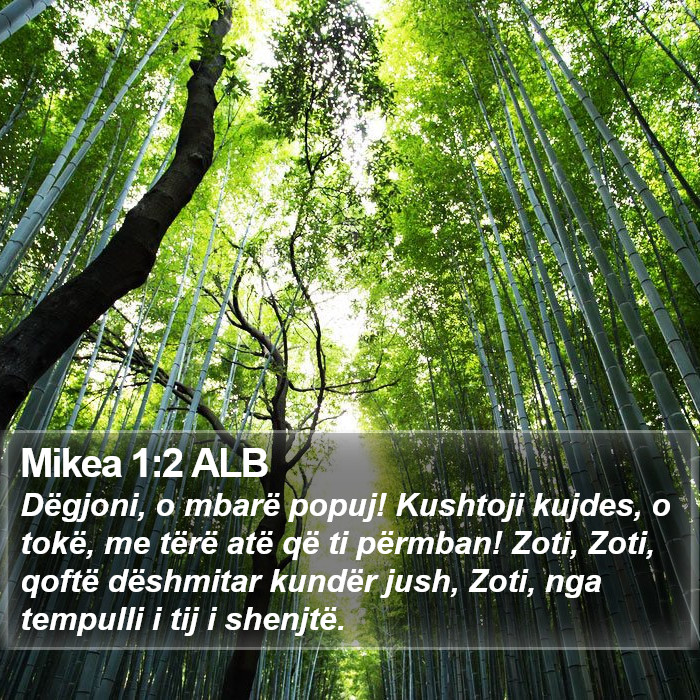 Mikea 1:2 ALB Bible Study