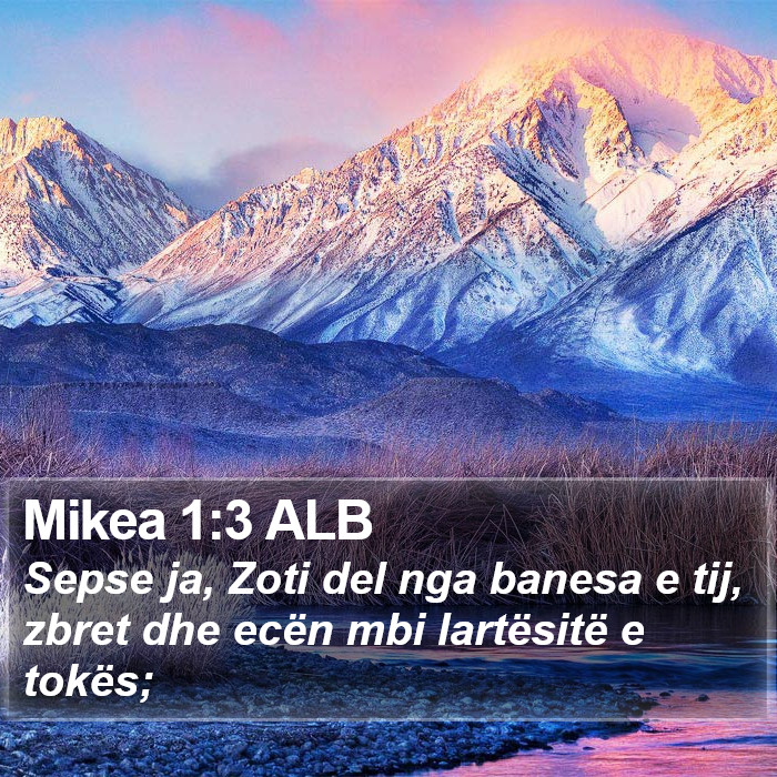 Mikea 1:3 ALB Bible Study