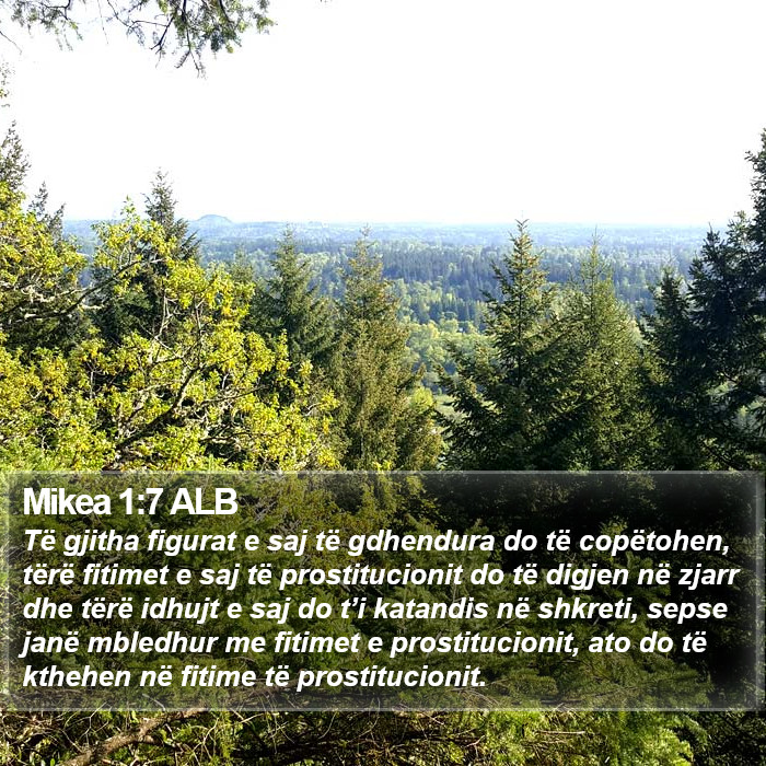 Mikea 1:7 ALB Bible Study