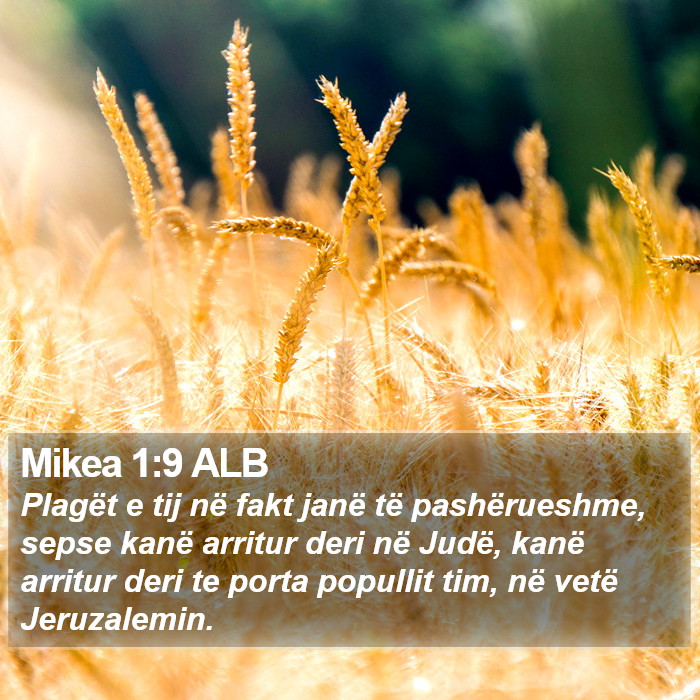 Mikea 1:9 ALB Bible Study