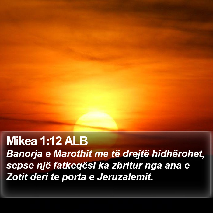 Mikea 1:12 ALB Bible Study