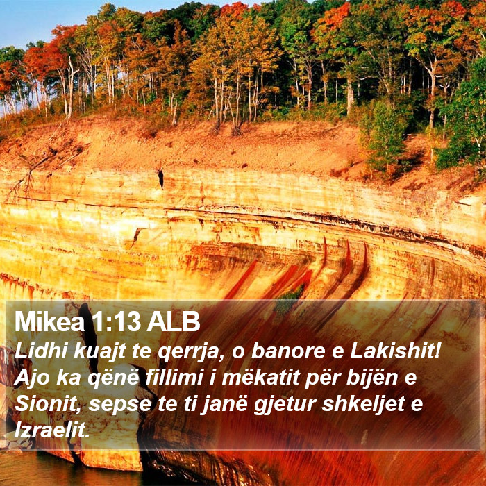 Mikea 1:13 ALB Bible Study