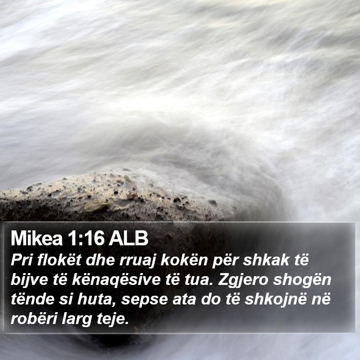 Mikea 1:16 ALB Bible Study