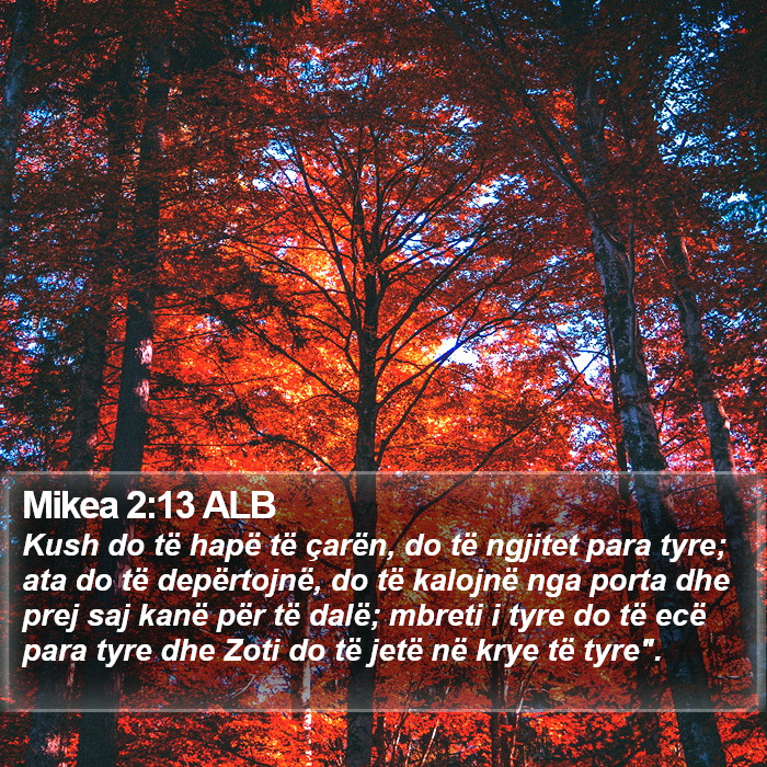 Mikea 2:13 ALB Bible Study