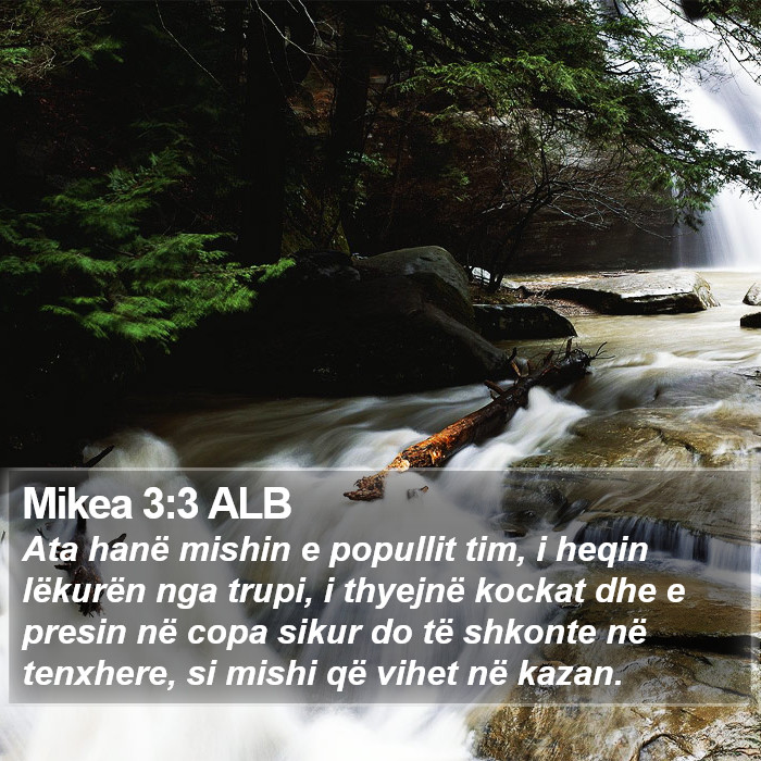 Mikea 3:3 ALB Bible Study