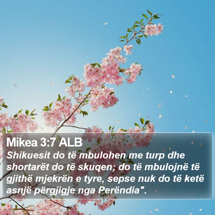 Mikea 3:7 ALB Bible Study