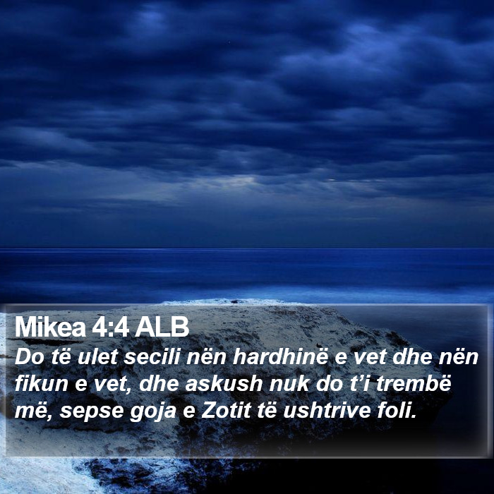 Mikea 4:4 ALB Bible Study