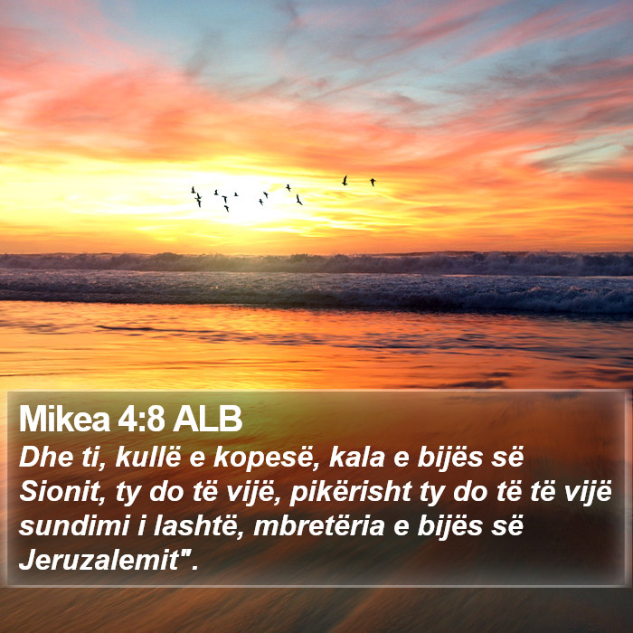 Mikea 4:8 ALB Bible Study