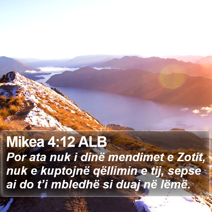 Mikea 4:12 ALB Bible Study