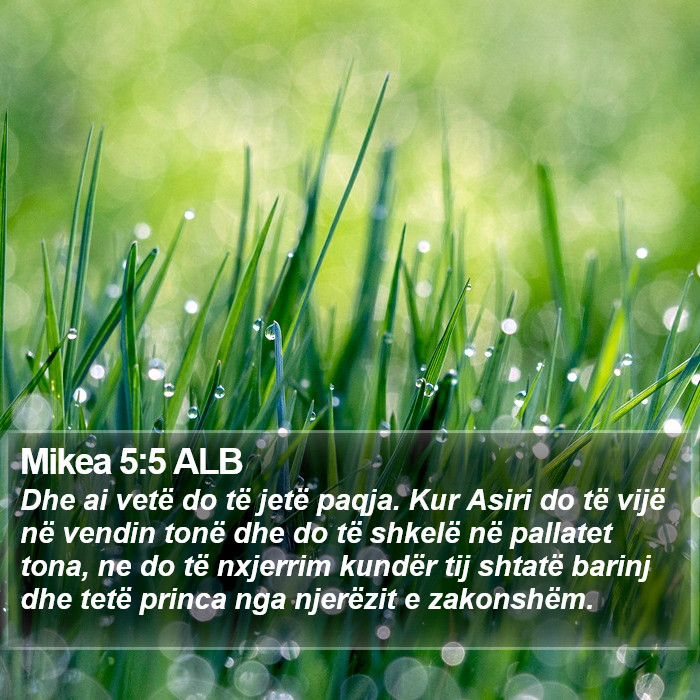 Mikea 5:5 ALB Bible Study