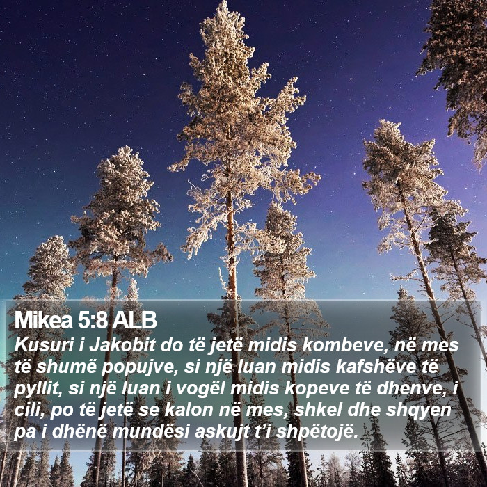 Mikea 5:8 ALB Bible Study