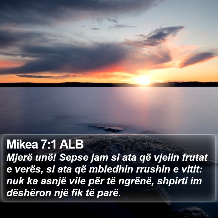 Mikea 7:1 ALB Bible Study