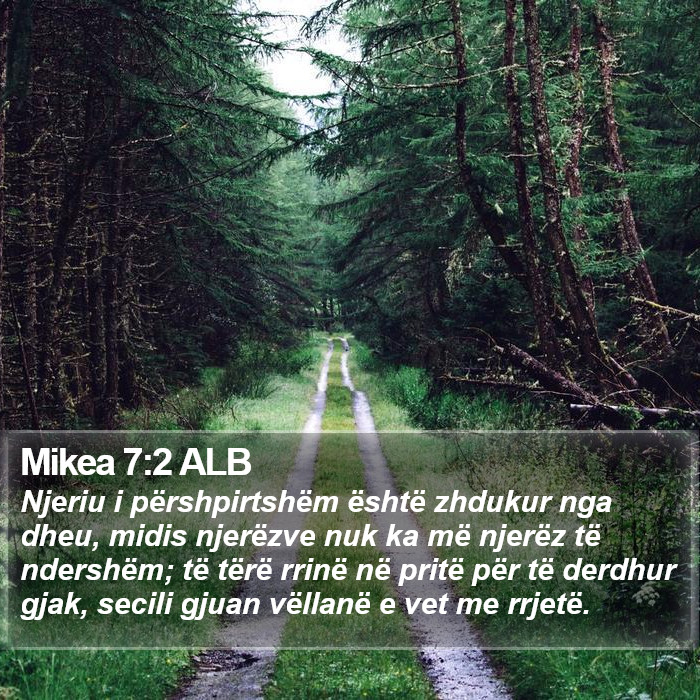 Mikea 7:2 ALB Bible Study