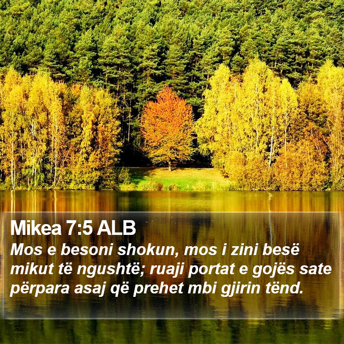 Mikea 7:5 ALB Bible Study