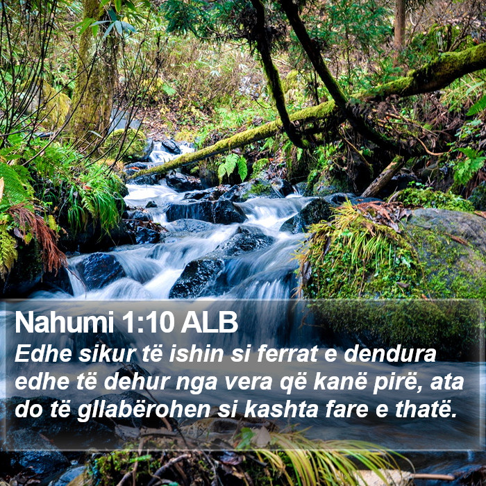 Nahumi 1:10 ALB Bible Study