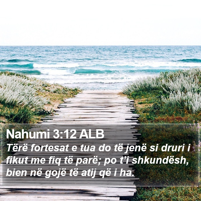 Nahumi 3:12 ALB Bible Study