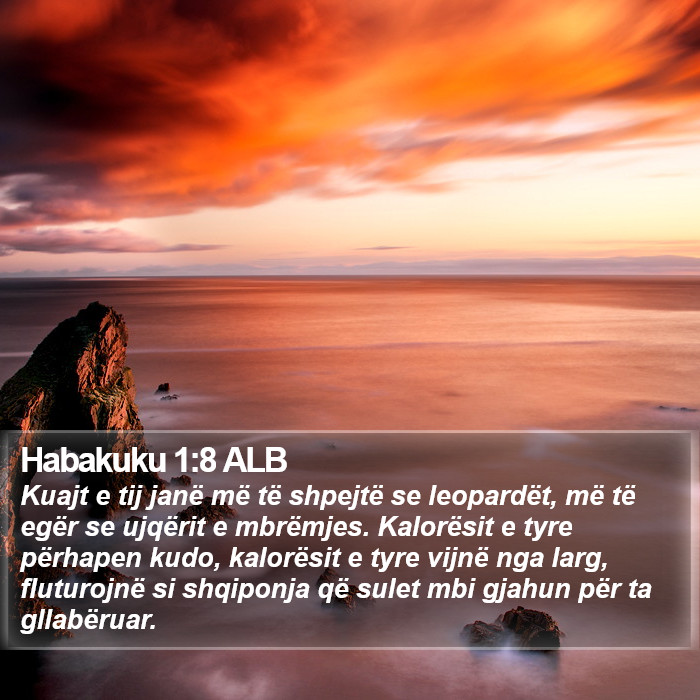 Habakuku 1:8 ALB Bible Study