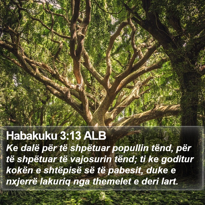 Habakuku 3:13 ALB Bible Study