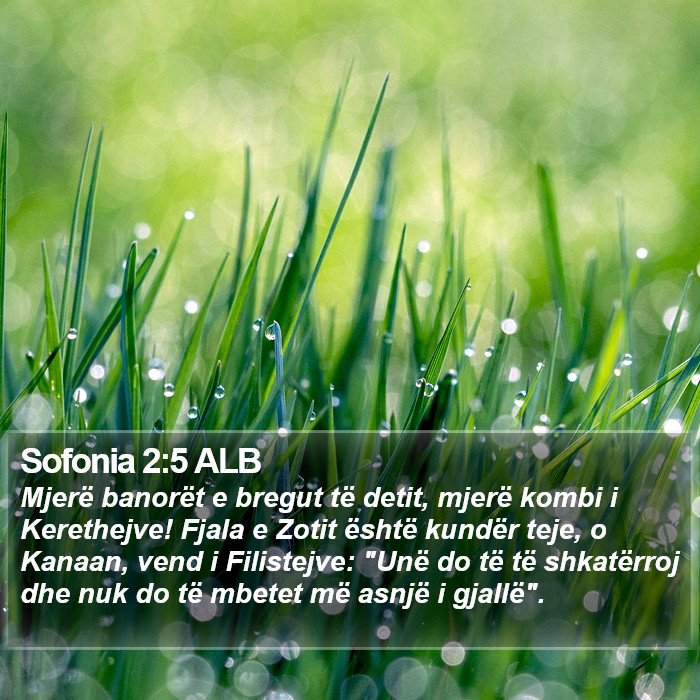 Sofonia 2:5 ALB Bible Study