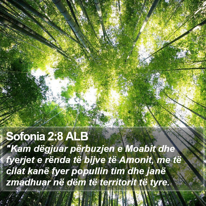 Sofonia 2:8 ALB Bible Study
