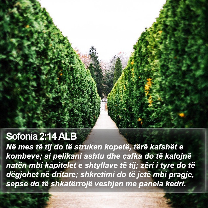 Sofonia 2:14 ALB Bible Study