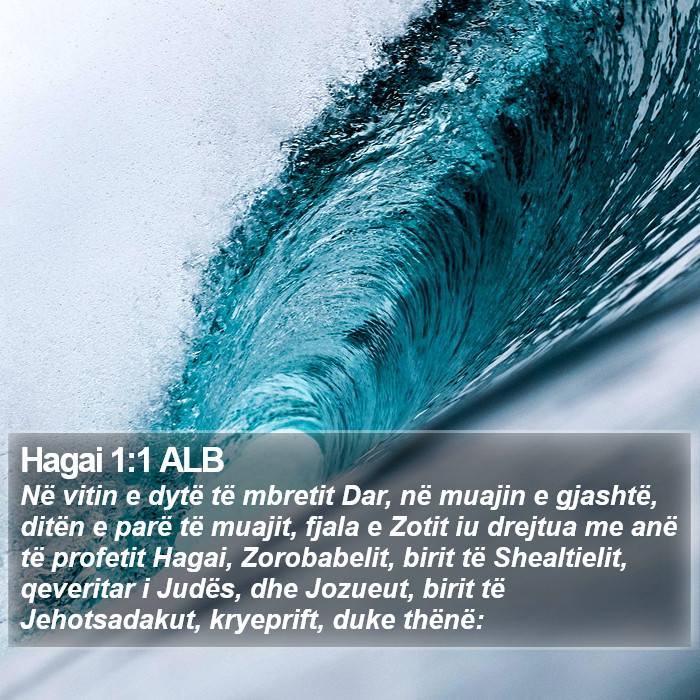 Hagai 1:1 ALB Bible Study