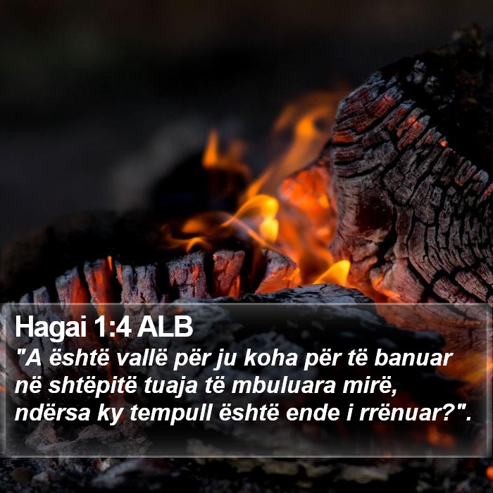 Hagai 1:4 ALB Bible Study