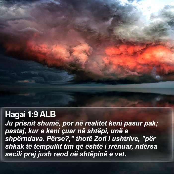 Hagai 1:9 ALB Bible Study