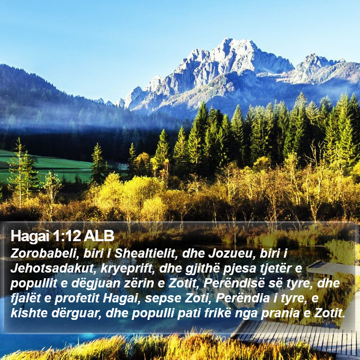 Hagai 1:12 ALB Bible Study