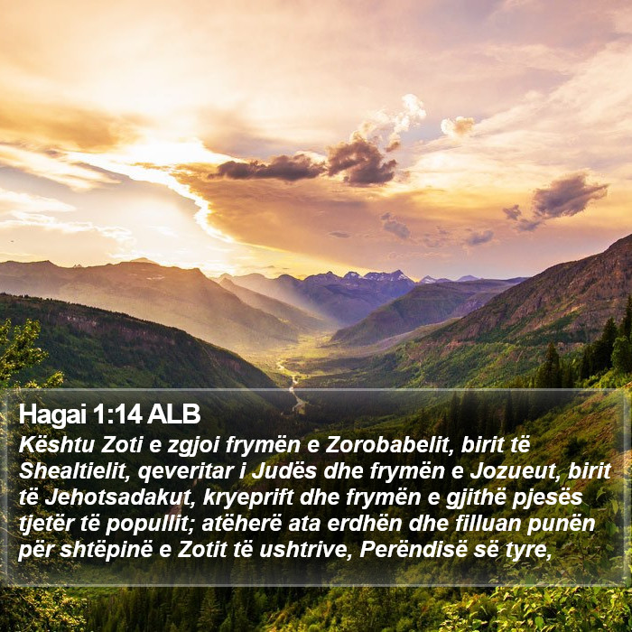 Hagai 1:14 ALB Bible Study