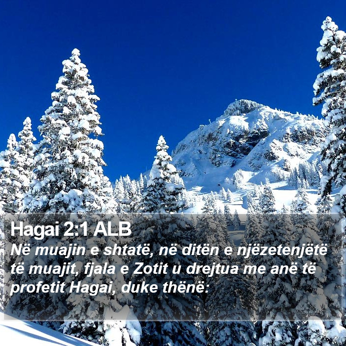 Hagai 2:1 ALB Bible Study