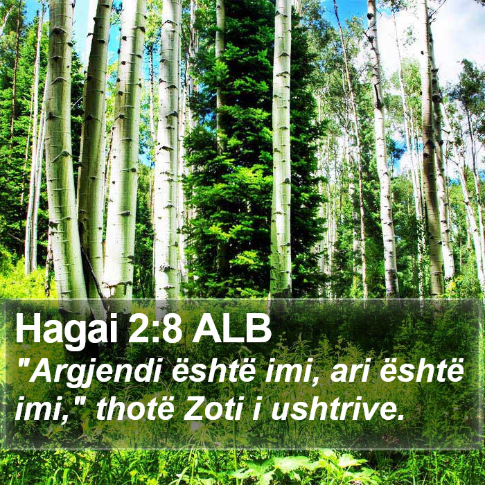 Hagai 2:8 ALB Bible Study