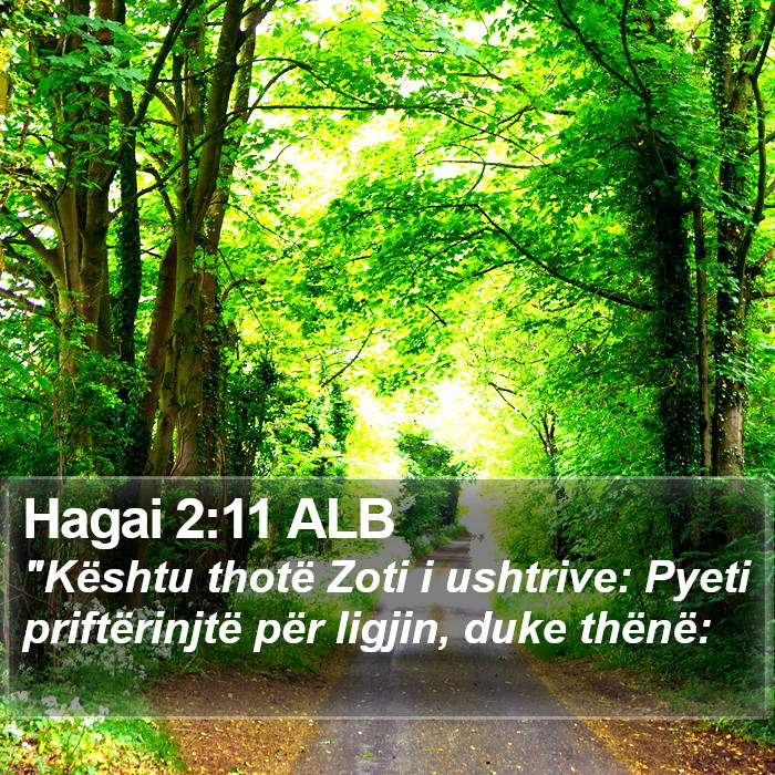 Hagai 2:11 ALB Bible Study
