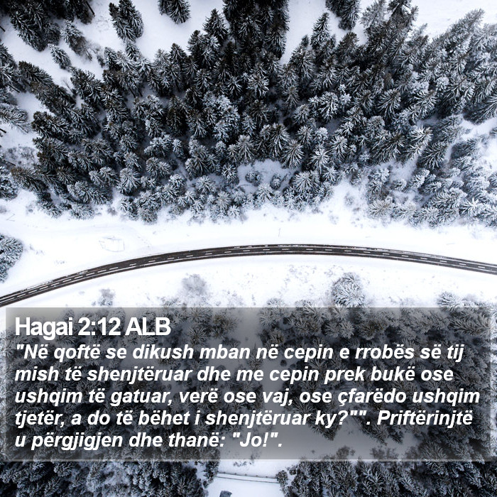 Hagai 2:12 ALB Bible Study