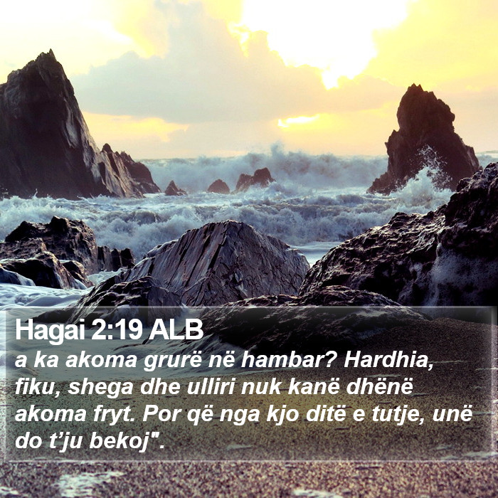 Hagai 2:19 ALB Bible Study