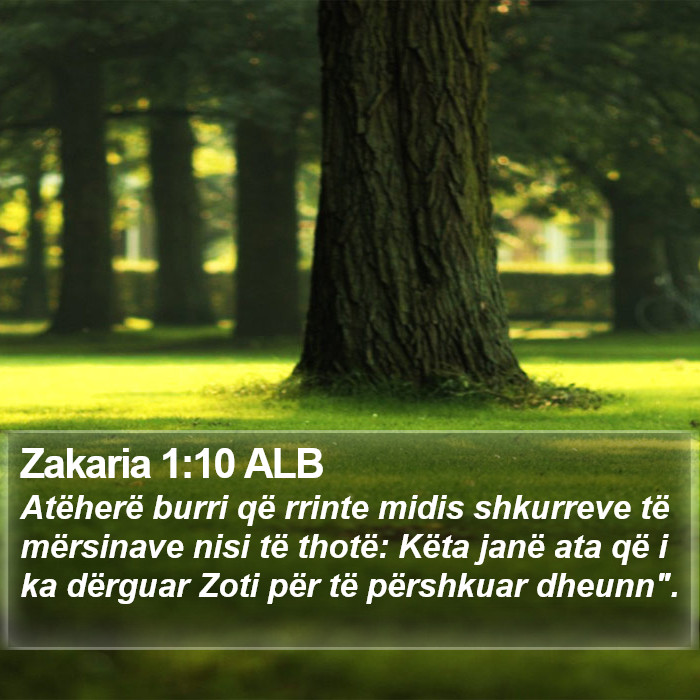 Zakaria 1:10 ALB Bible Study