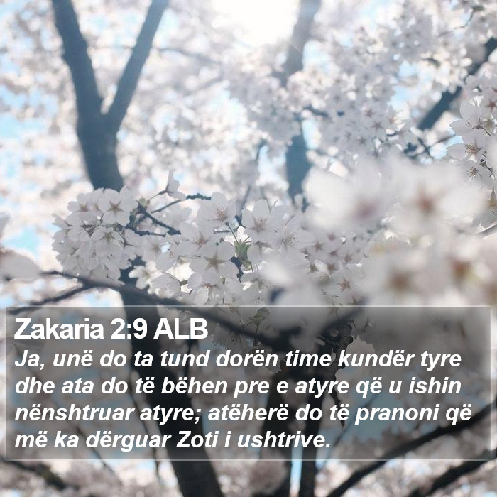 Zakaria 2:9 ALB Bible Study