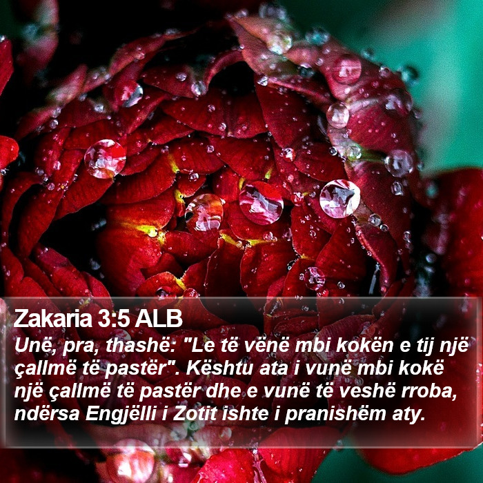 Zakaria 3:5 ALB Bible Study