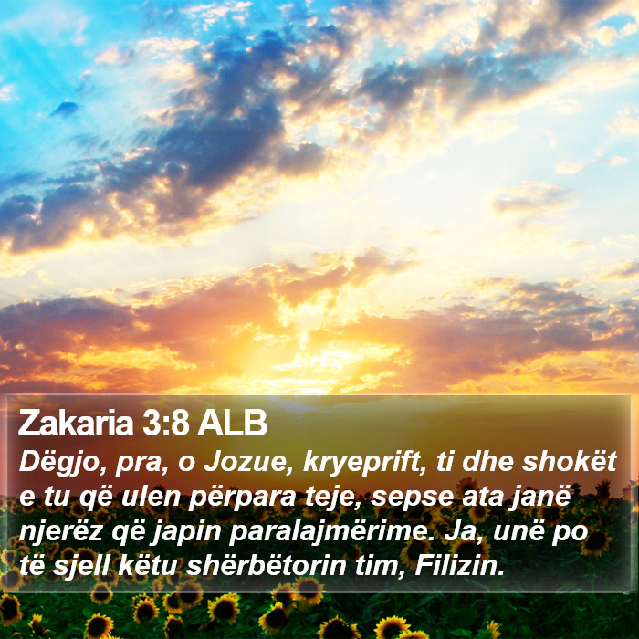 Zakaria 3:8 ALB Bible Study