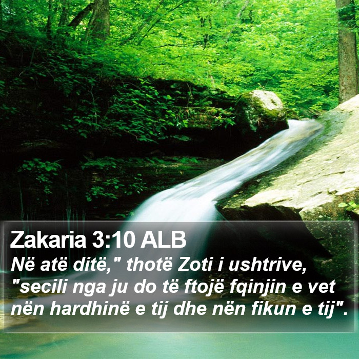 Zakaria 3:10 ALB Bible Study