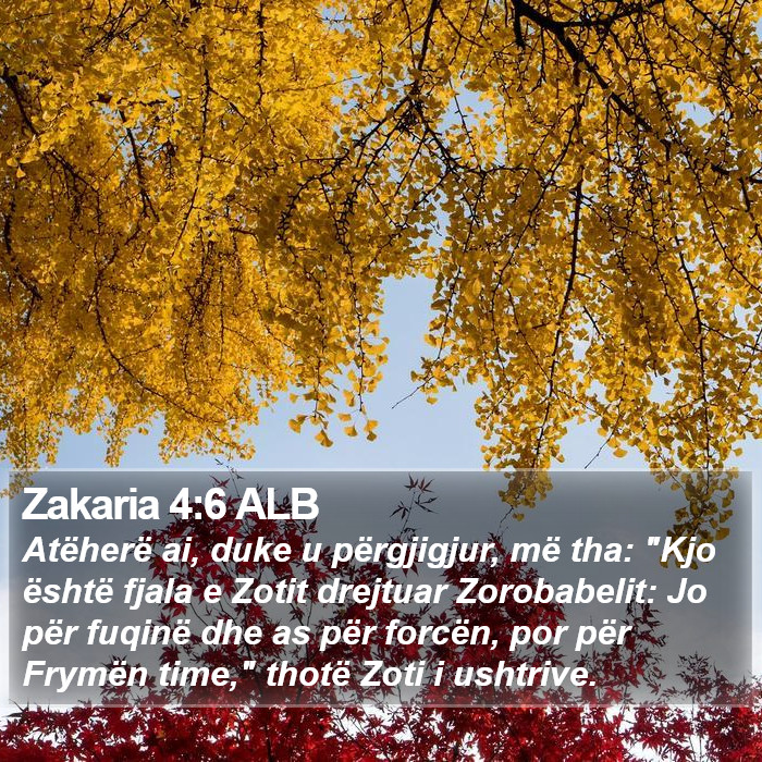 Zakaria 4:6 ALB Bible Study