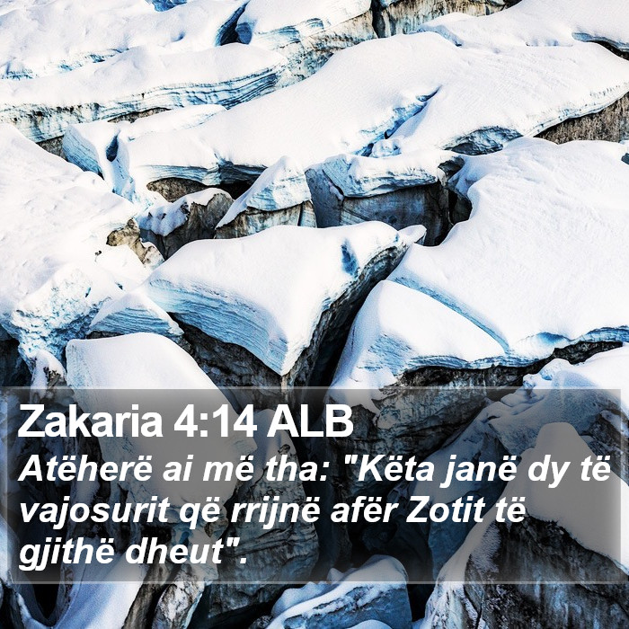 Zakaria 4:14 ALB Bible Study