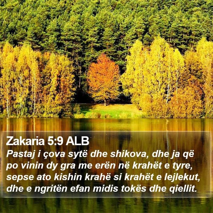 Zakaria 5:9 ALB Bible Study