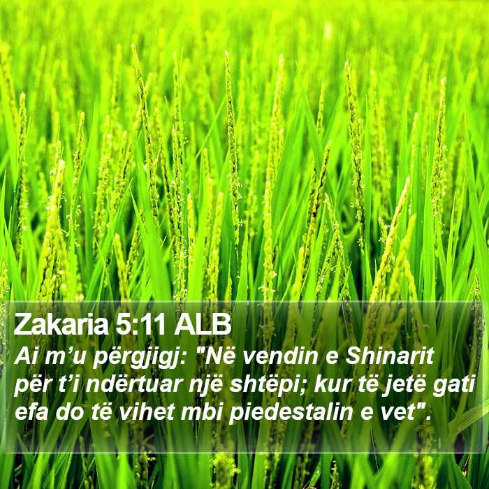 Zakaria 5:11 ALB Bible Study