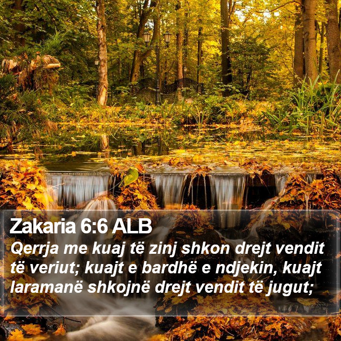 Zakaria 6:6 ALB Bible Study