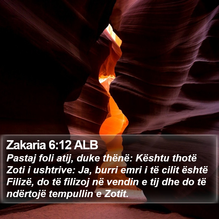 Zakaria 6:12 ALB Bible Study