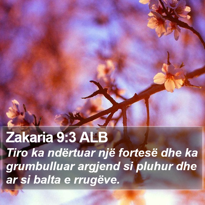Zakaria 9:3 ALB Bible Study
